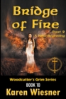 Bridge of Fire, Part 2 : A New Beginning - Book