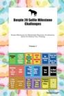Bospin 20 Selfie Milestone Challenges Bospin Milestones for Memorable Moments, Socialization, Indoor & Outdoor Fun, Training Volume 3 - Book