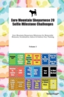 Euro Mountain Sheparnese 20 Selfie Milestone Challenges Euro Mountain Sheparnese Milestones for Memorable Moments, Socialization, Indoor & Outdoor Fun, Training Volume 3 - Book