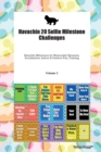 Havachin 20 Selfie Milestone Challenges Havachin Milestones for Memorable Moments, Socialization, Indoor & Outdoor Fun, Training Volume 3 - Book