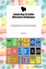 Jaland Dog 20 Selfie Milestone Challenges Jaland Dog Milestones for Memorable Moments, Socialization, Indoor & Outdoor Fun, Training Volume 3 - Book