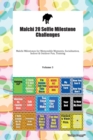 Malchi 20 Selfie Milestone Challenges Malchi Milestones for Memorable Moments, Socialization, Indoor & Outdoor Fun, Training Volume 3 - Book