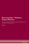 Reversing Type 1 Diabetes : Kidney Filtration The Raw Vegan Plant-Based Detoxification & Regeneration Workbook for Healing Patients. Volume 5 - Book