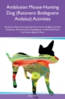 Andalusian Mouse-Hunting Dog (Ratonero Bodeguero Andaluz) Activities Andalusian Mouse-Hunting Dog Tricks, Games & Agility Includes : Andalusian Mouse-Hunting Dog Beginner to Advanced Tricks, Fun Games - Book