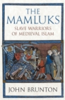 The Mamluks : Slave Warriors of Medieval Islam - Book