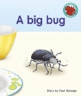 A big bug - Book