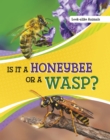 Is It a Honeybee or a Wasp? - Book
