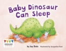Baby Dinosaur Can Sleep - Book