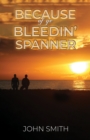 Because of Ye Bleedin' Spanner - eBook