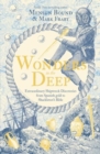 Wonders in the Deep : A History of the World through Shipwrecks - Book