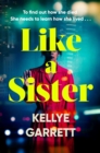 Like A Sister - eBook