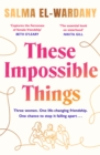 These Impossible Things : An unforgettable story of love and friendship - eBook