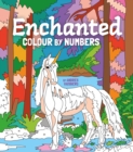 Enchanted Colour by Numbers - Book