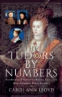 The Tudors by Numbers : The Stories and Statistics Behind England's Most Infamous Royal Dynasty - eBook