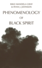 Phenomenology of Black Spirit - eBook