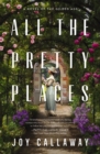 All the Pretty Places : A Novel of the Gilded Age - Book