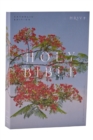 NRSV Catholic Edition Bible, Royal Poinciana Paperback (Global Cover Series) : Holy Bible - Book