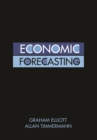 Economic Forecasting - eBook