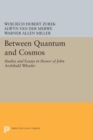 Between Quantum and Cosmos : Studies and Essays in Honor of John Archibald Wheeler - eBook