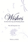 Wishes for the Grieving and Healing Heart : Why the Dragonfly Cries - Book