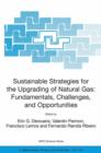 Sustainable Strategies for the Upgrading of Natural Gas: Fundamentals, Challenges, and Opportunities : Proceedings of the NATO Advanced Study Institute, held in Vilamoura, Portugal, July 6 - 18, 2003 - Book