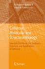Cellulose: Molecular and Structural Biology : Selected Articles on the Synthesis, Structure, and Applications of Cellulose - R. Malcolm Jr. Brown