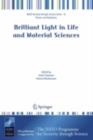 Brilliant Light in Life and Material Sciences - eBook