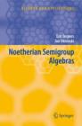 Noetherian Semigroup Algebras - Book
