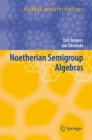 Noetherian Semigroup Algebras - eBook