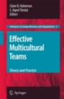 Effective Multicultural Teams: Theory and Practice - eBook