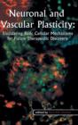 Neuronal and Vascular Plasticity : Elucidating Basic Cellular Mechanisms for Future Therapeutic Discovery - Book