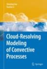 Cloud-Resolving Modeling of Convective Processes - Shouting Gao