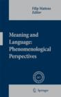 Meaning and Language: Phenomenological Perspectives - Book