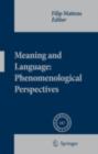Meaning and Language: Phenomenological Perspectives - eBook