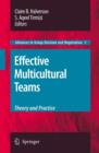 Effective Multicultural Teams: Theory and Practice - Book