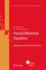 Partial Differential Equations : Modelling and Numerical Simulation - Book