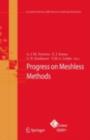 Progress on Meshless Methods - eBook