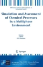 Simulation and Assessment of Chemical Processes in a Multiphase Environment - Book