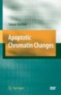 Apoptotic Chromatin Changes - eBook