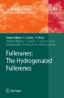 Fulleranes : The Hydrogenated Fullerenes - eBook