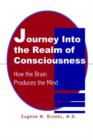 Journey into the Realm of Consciousness : How the Brain Produces the Mind - Book