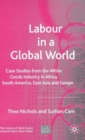 Labour in a Global World : Case Studies from the White Goods Industry in Africa, South America, East Asia and Europe - Book