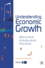 Understanding Economic Growth : *Macro-level *Industry-level * Firm-level - Book