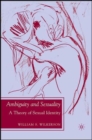 Ambiguity and Sexuality : A Theory of Sexual Identity - Book