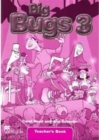 Big Bugs 3 Flashcards International - Book