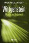 Wittgenstein : Meaning and Judgement - Book