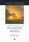 A Companion to 19th-Century America - Book