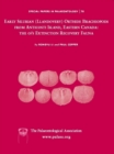Special Papers in Palaeontology, Early Silurian (Llandovery) Orthide Brachiopods from Anticosti Island, Eastern Canada : The O/S Extinction Recovery Fauna - Book