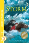 Storm - Book