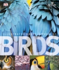 The Illustrated Encyclopedia of Birds - Book